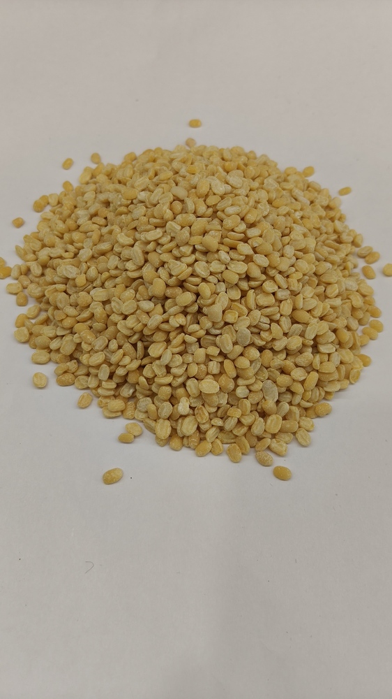 Mogar Dal