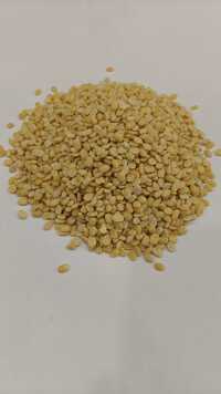 Mogar Dal
