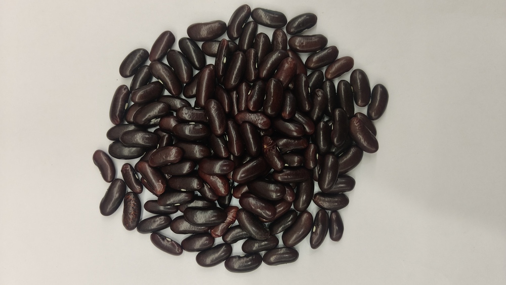 Red Rajma