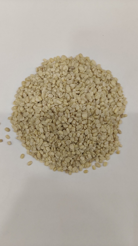 Urad Dal White