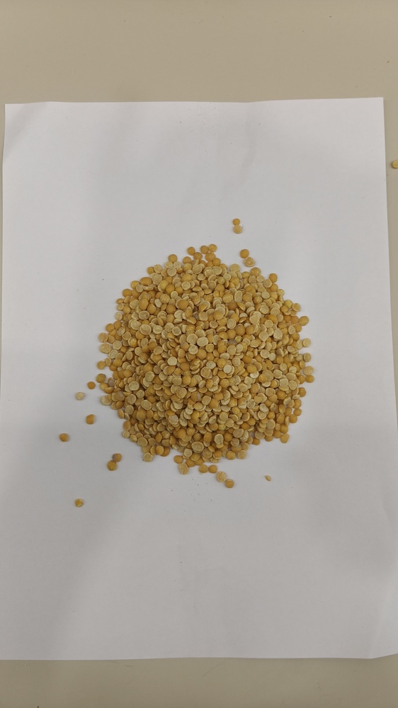 Tuar Dal