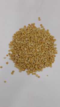 Tuar Dal