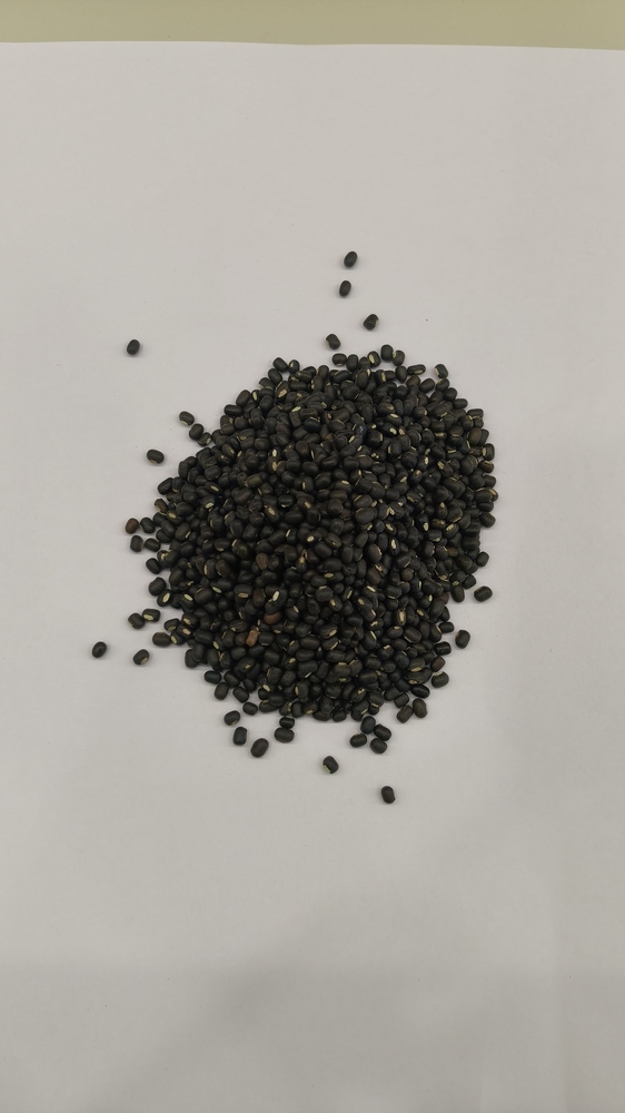 Urad Whole Black