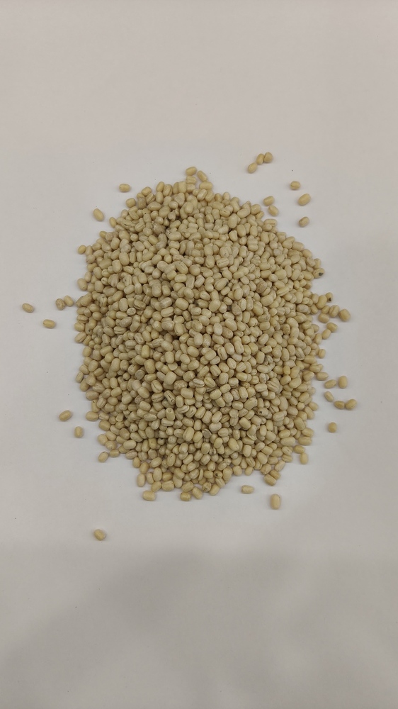 Urad Gota