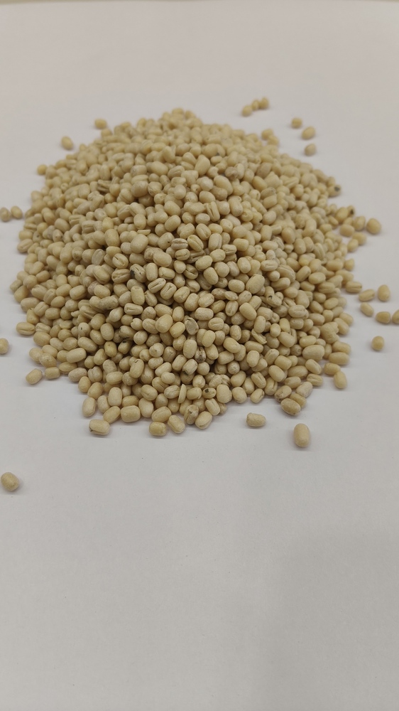 Urad Gota