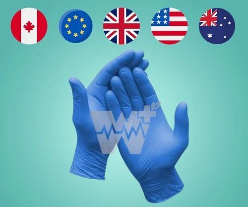 Glovesi Nitrile Powder Free Examination Gloves - Large