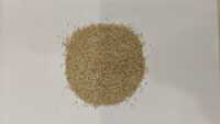 Wheat Dalia