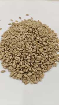 Wheat Whole