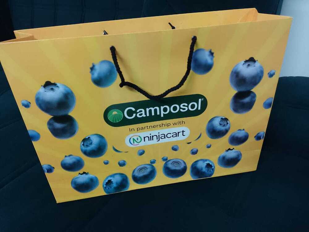 Customized Printed Paper Bag