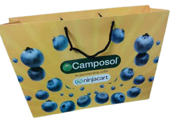 Customized Printed Paper Bag - Max Load: Up To 5 Kg