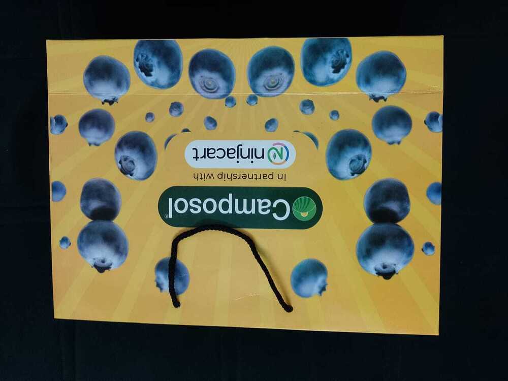 Digital Printed Paper Bag - Size: Approx. 32 X 29 X 9 Cm (Customizable)