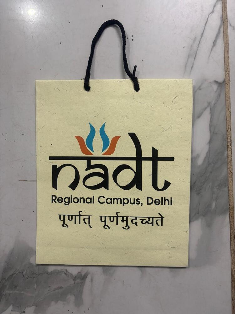 Digital Printed Paper Bag - Size: Approx. 32 X 29 X 9 Cm (Customizable)