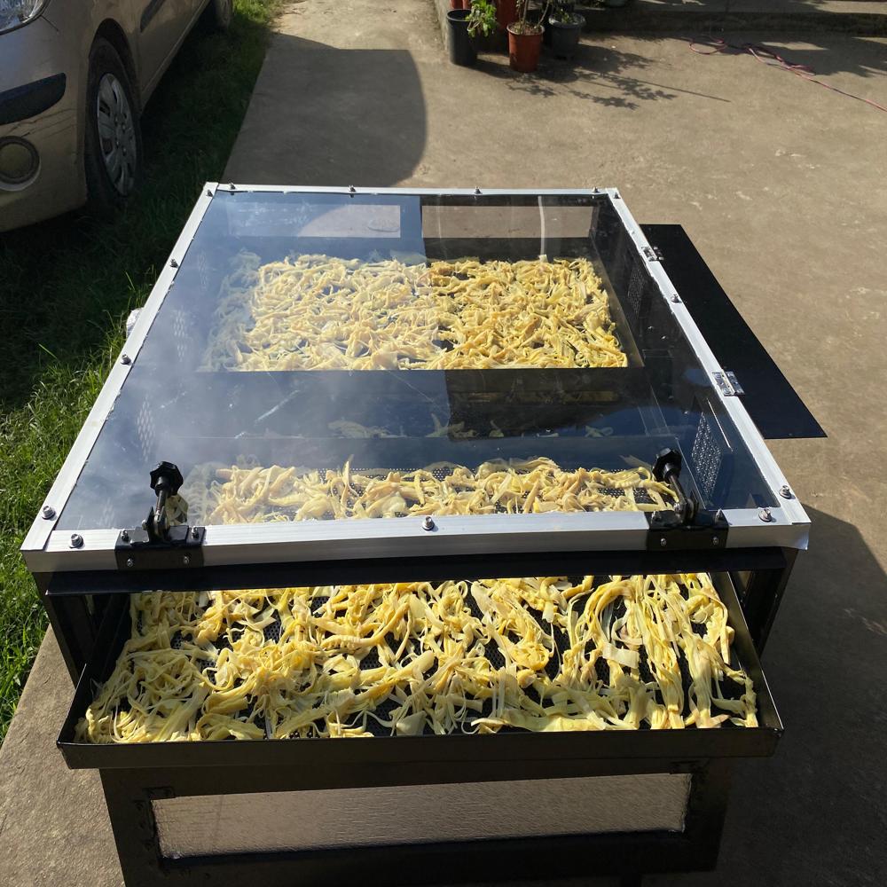 10 Kg Capacity Solar Dryer