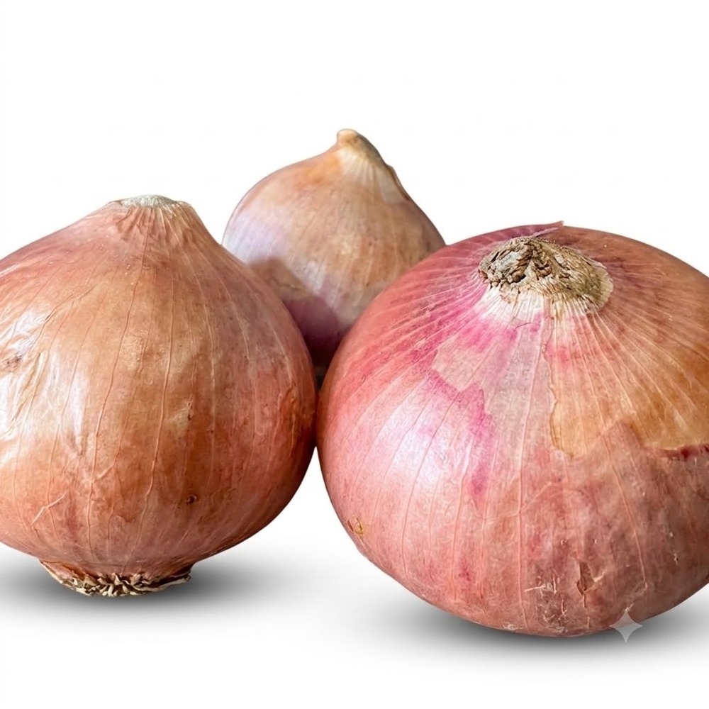 Fresh Red Onion