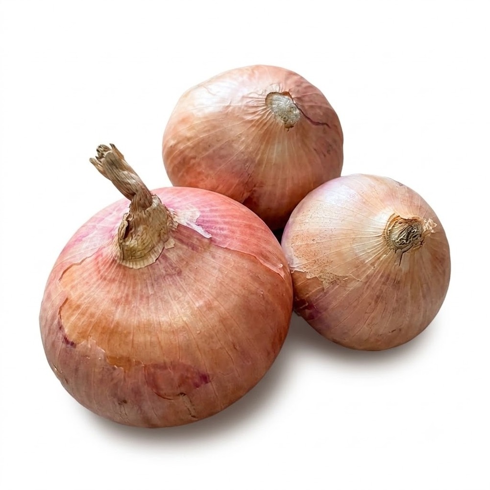 Fresh Red Onion