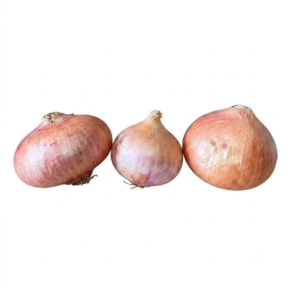 Fresh Red Onion