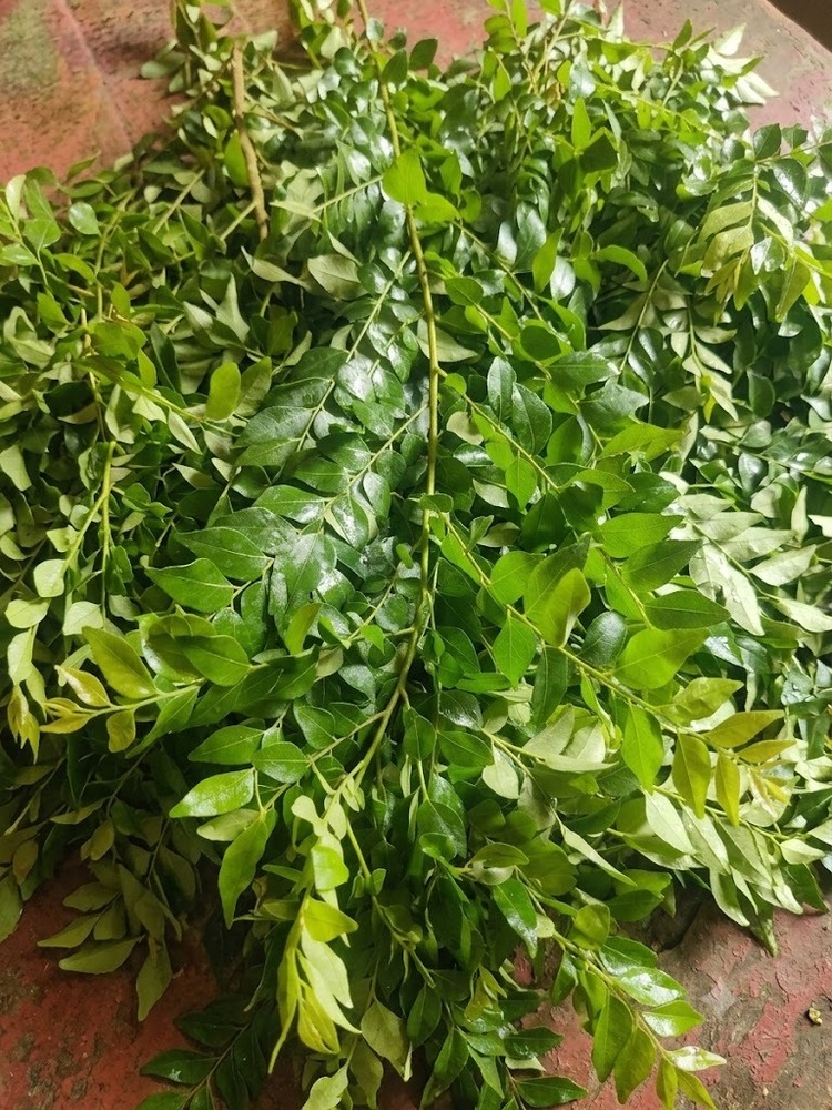 Green Curry Leaves