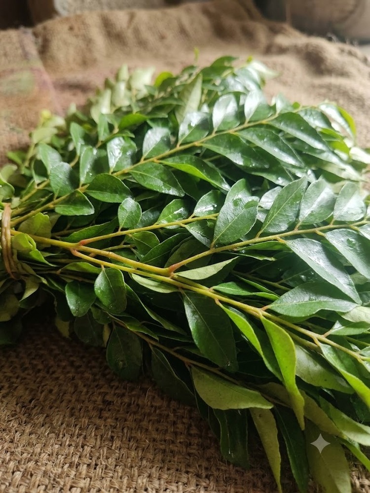 Green Curry Leaves