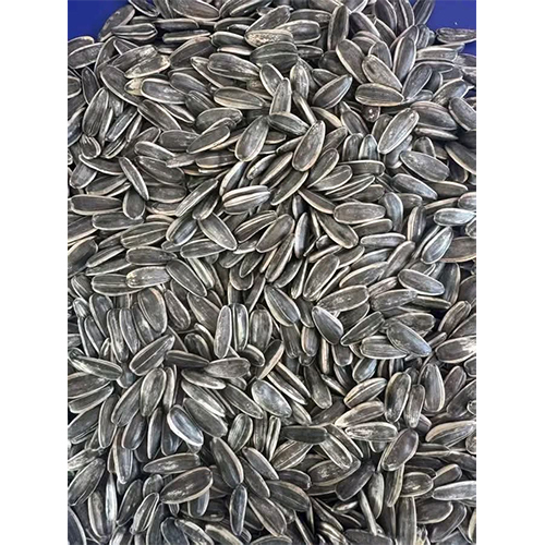Sunflower seed for oil extraction uses