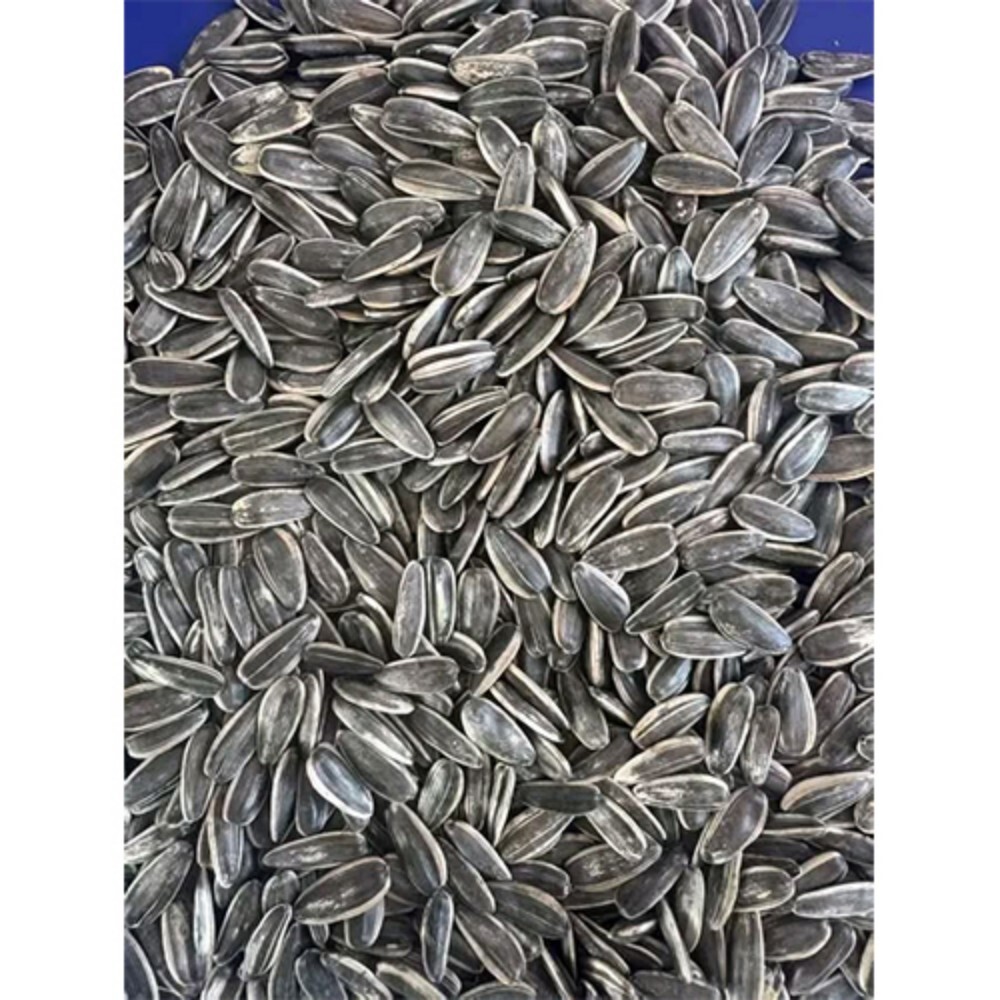 Sunflower Seed For Oil Extraction Uses - Admixture (%): 1% Max