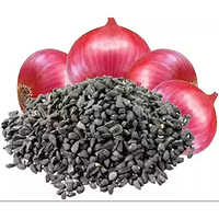Onion seed for oil extraction