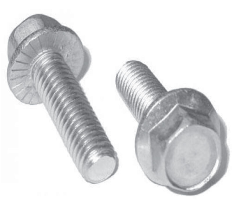 SS Flange Bolt