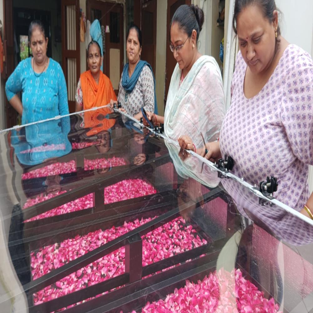 Solar Rose Petal Dryer