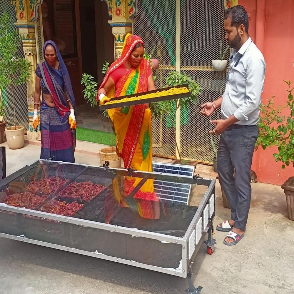 Solar Vegetable Dryer