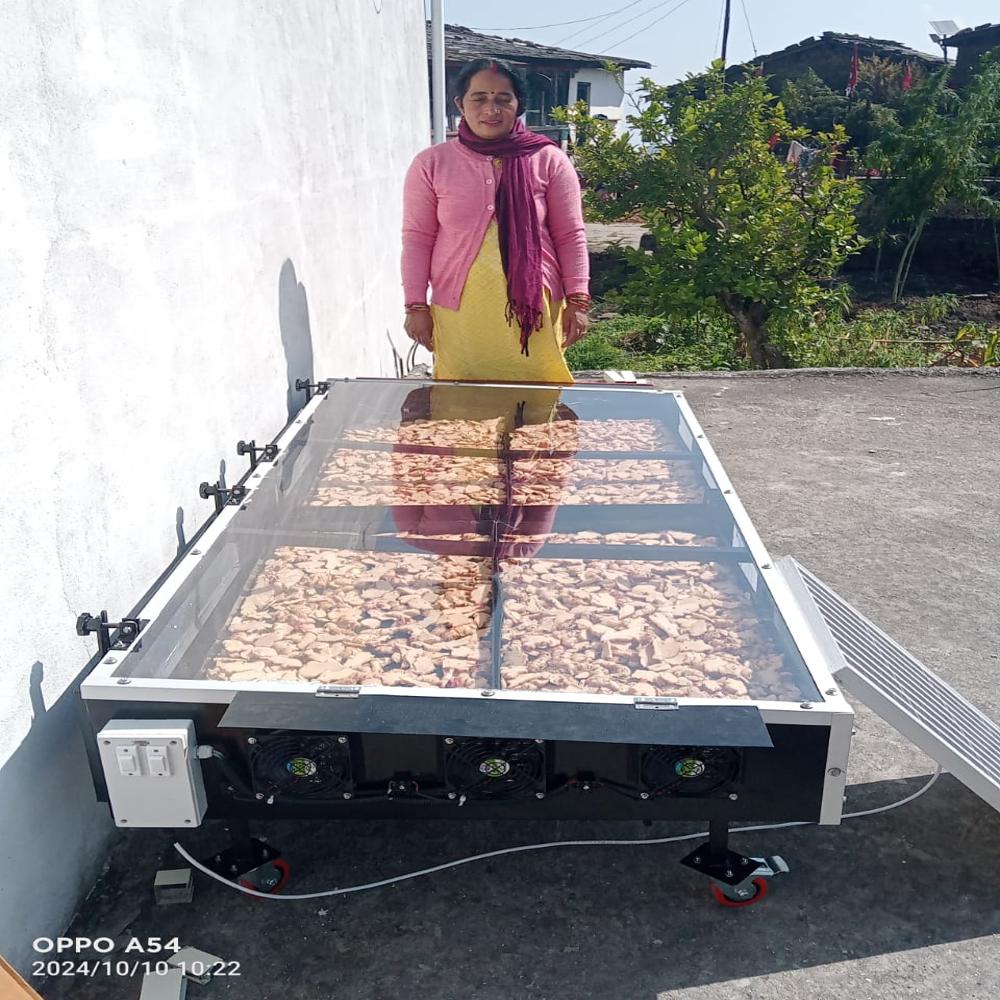 Solar Vegetable Dryer