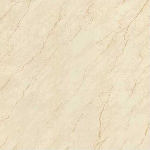 Titus Vitrified Tiles