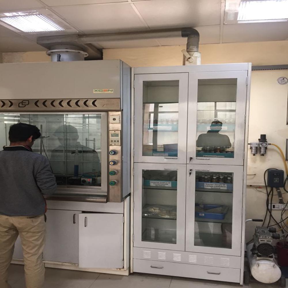 Chemical Storage Cabinet