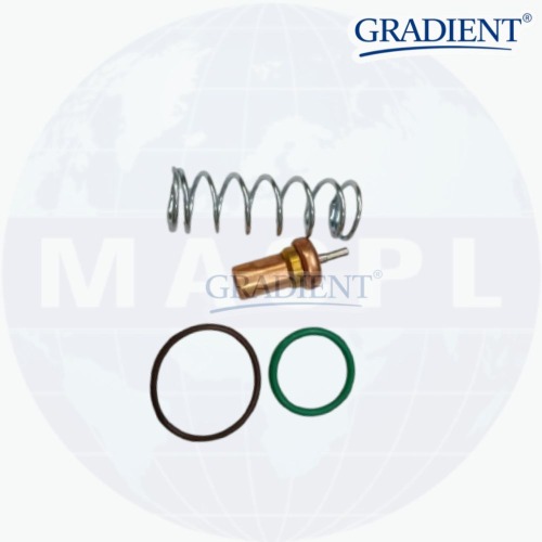 ELGI THERMAL VALVE KIT 22832885