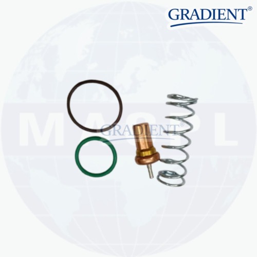 ELGI THERMAL VALVE KIT 22832885