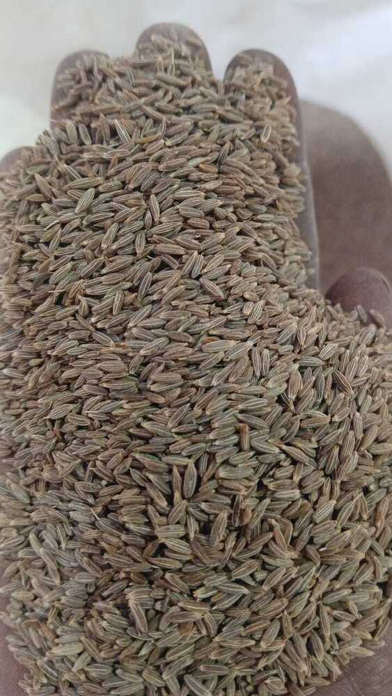 Cumin Seeds