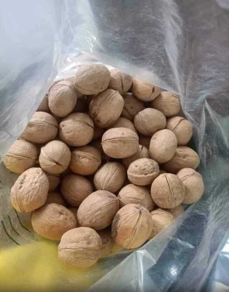 Whole walnut