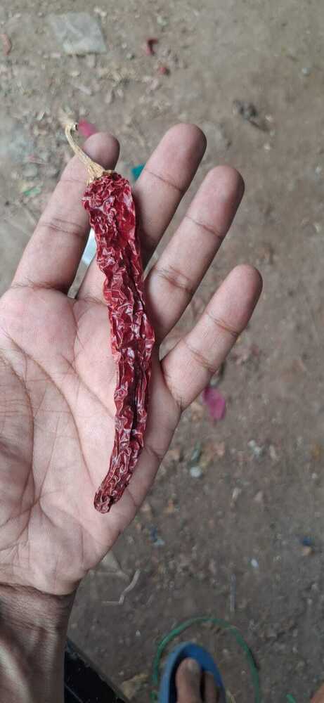 Red chilli red chilli