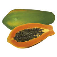 Fresh Papaya
