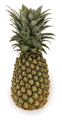 Fresh Pineapple