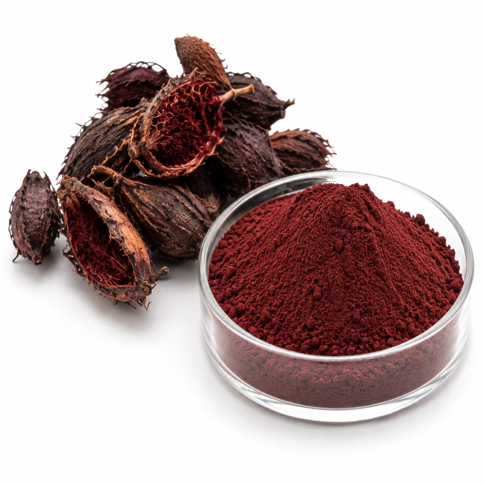 Ratanjot Extract powder