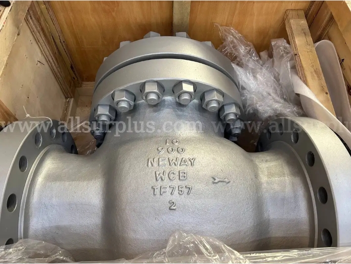 Neway Check Valve