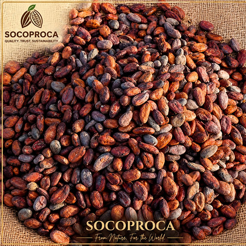 Cocoa Beans