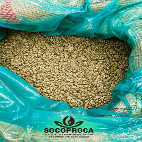 Robusta Coffee Beans