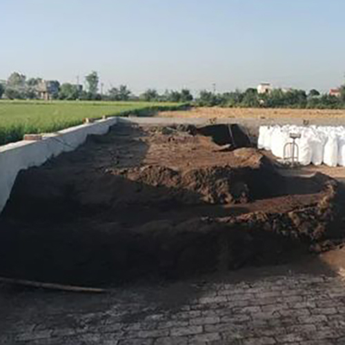 Cow Dung Manure
