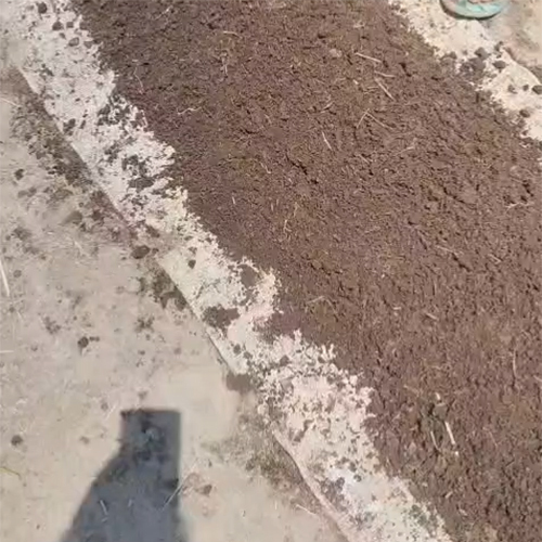 Vermi Compost