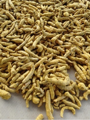 हल्दी उंगलियां