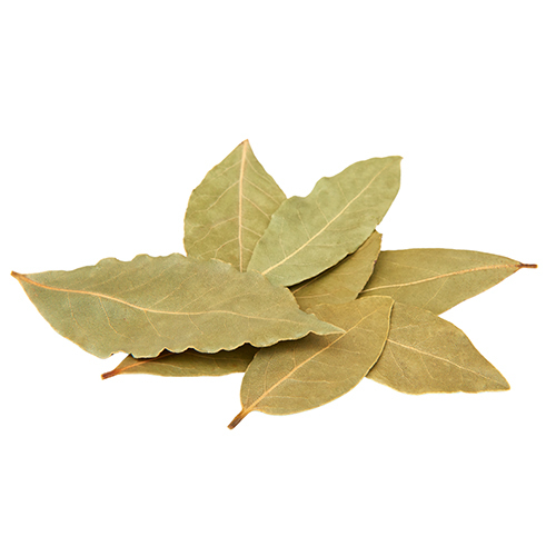 Bay Leaf