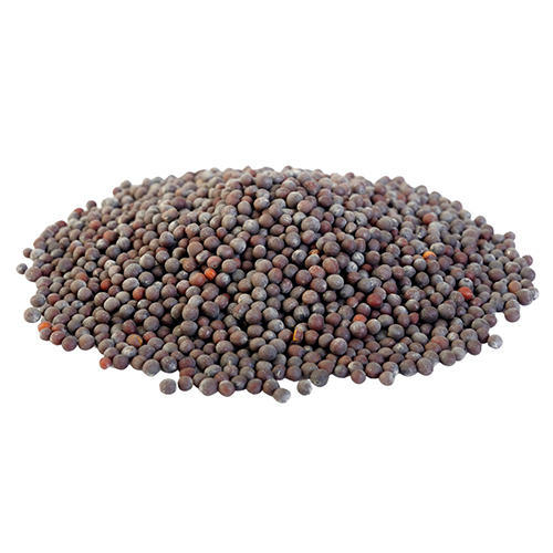 Black Mustard Seeds
