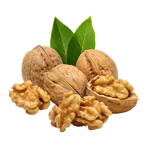 Premium Walnut