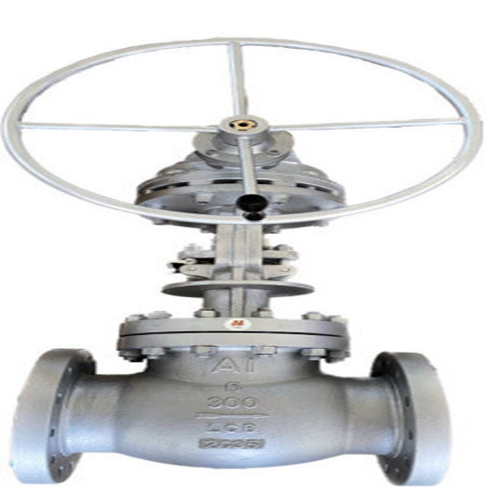 Audco Globe Valve