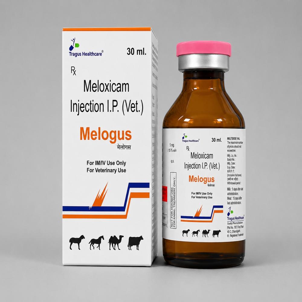 Meloxicam Injection